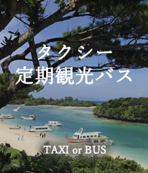 タクシー・定期観光バスツアー