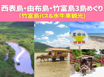 離島周遊＞西表島・由布島・竹富島３島めぐり（バス＆水牛車観光